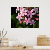 Pentas-poster Poster (Keuken)