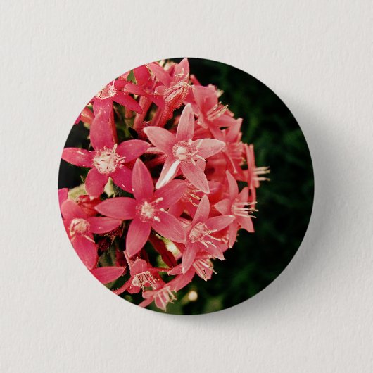 Pentas Ronde Button 5,7 Cm (Voorkant)