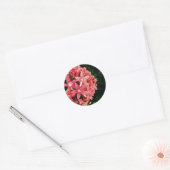 Pentas Ronde Sticker (Envelop)