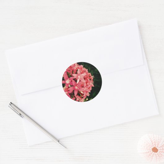 Pentas Ronde Sticker (Envelop)