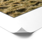 Pentland Hill Uitzicht II Poster (Hoek)