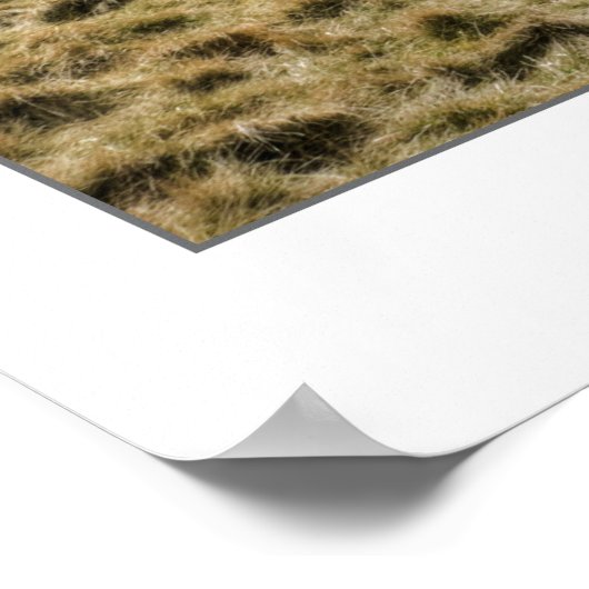 Pentland Hill Uitzicht II Poster (Hoek)