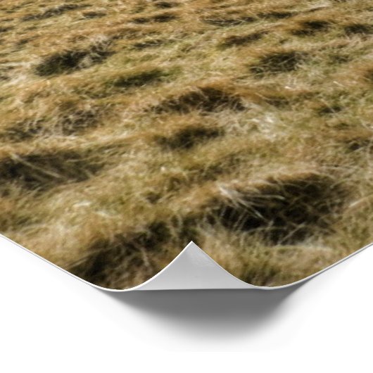 Pentland Hills, Edinburgh Poster (Hoek)