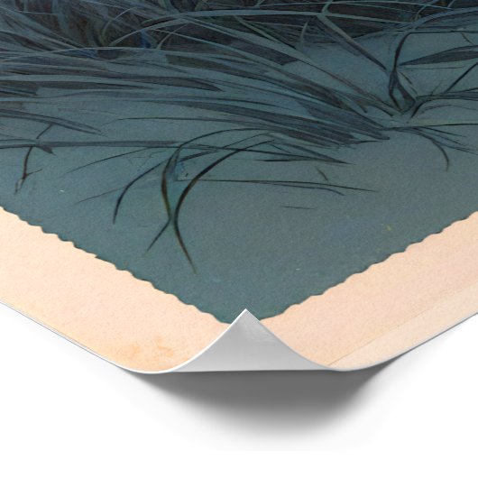  Pentwater Sunset Poster (Hoek)