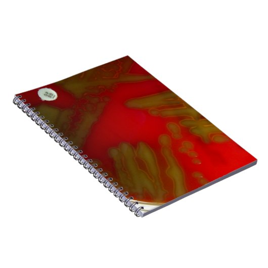 Penumonia Bacteria Notitieboek (Rechterzijde)