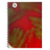 Penumonia Bacteria Notitieboek (Voorkant)