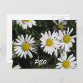 PEO-kaart Briefkaart (Voorkant / Achterkant)