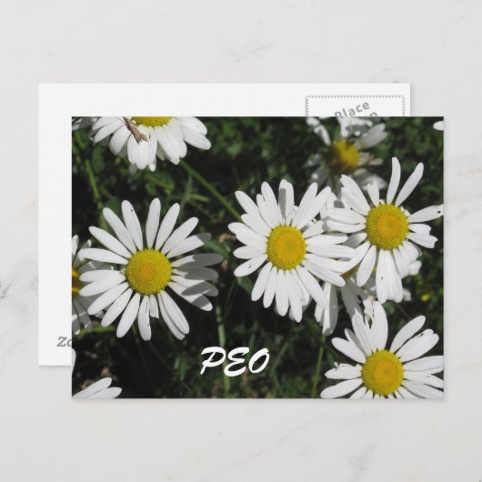 PEO-kaart Briefkaart (Voorkant / Achterkant)