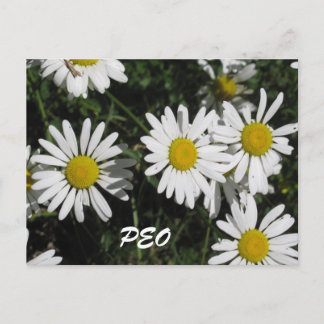 PEO-kaart Briefkaart