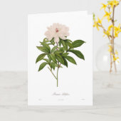 Peonia albiflora kaart (Gele Bloem)