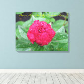 Peonie Na Regen Verpakt Canvas (Insitu (Houten vloer))