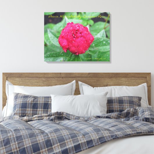 Peonie Na Regen Verpakt Canvas Afdruk (Insitu (Slaapkamer))