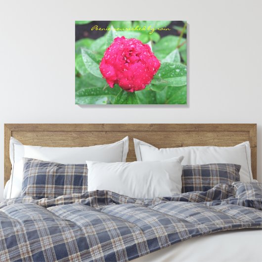 Peonie Na Regen Verpakt Canvas Afdruk (Insitu (Slaapkamer))