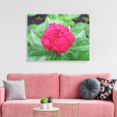 Peonie Na Regen Verpakt Canvas Afdruk (Insitu (Woonkamer))