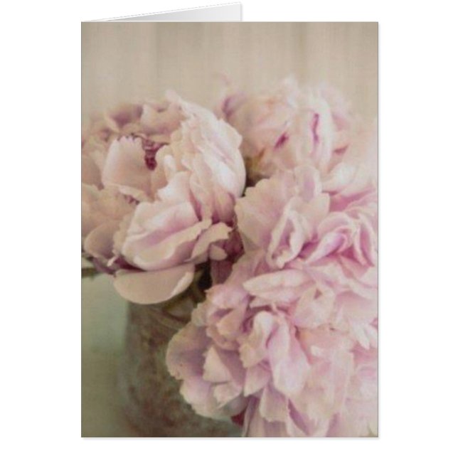 Peonies (Voorkant)