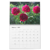 Peonies 2013 Flower Calendar Kalender (Feb 2027)