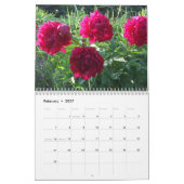 Peonies 2015 Flower Calendar Kalender (Feb 2027)