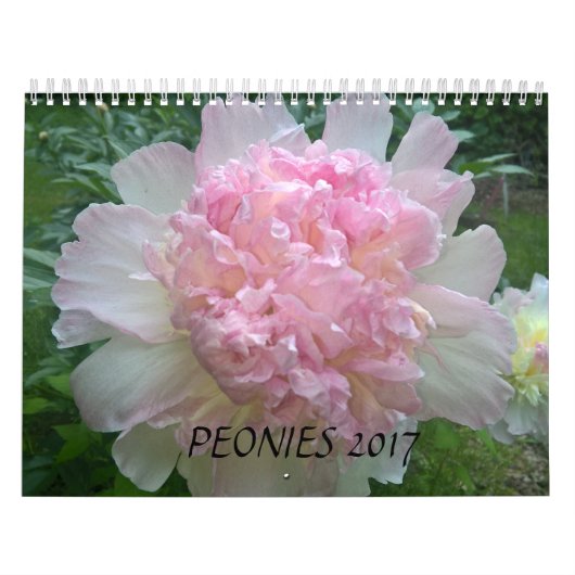 Peonies Agenda 2017 Kalender (Hoes)