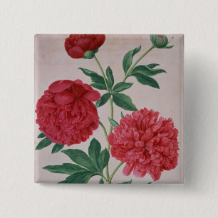 Peonies, bord 46, van de Nassau Florilegium (m/v Vierkante Button 5,1 Cm
