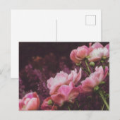 Peonies Briefkaart (Voorkant / Achterkant)