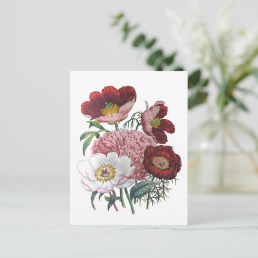 Peonies Briefkaart (Staand voorkant)