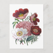 Peonies Briefkaart (Voorkant)