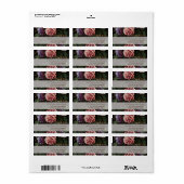 Peonies die 2 Familie schilderen Dank u het Etiket (Full Sheet)