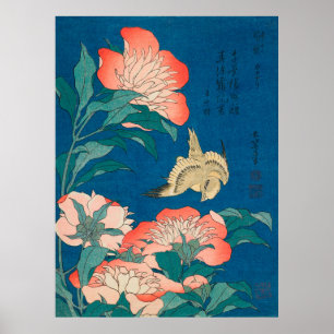 Peonies en Canarische Eilanden Poster