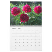 Peonies Flower Calendar 2015 Kalender (Jan 2027)