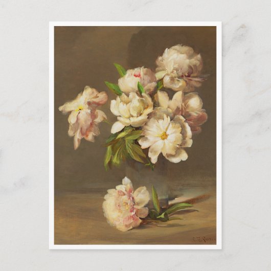 Peonies in een Vase, Charles Ethan Porter Briefkaart (Voorkant)