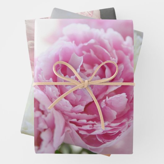 Peonies Inpakpapier Vel (In situ)