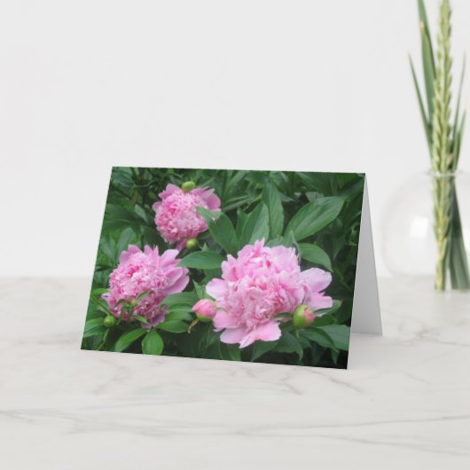 Peonies Kaart (Voorkant)