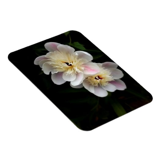 Peonies Magnet Magneet (Rechterzijde)