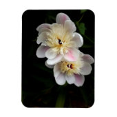 Peonies Magnet Magneet (Verticaal)