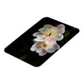 Peonies Magnet Magneet (Linkerzijde)