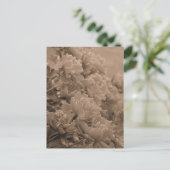 Peonies met het licht in sepia briefkaart (Staand voorkant)