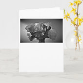 Peonies / Noir, kaart (Gele Bloem)