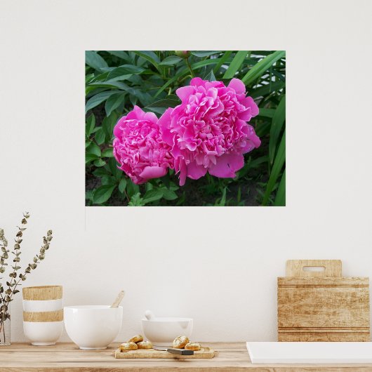 Peonies Poster (Keuken)