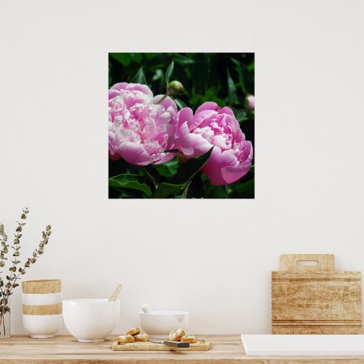 Peonies Poster (Keuken)