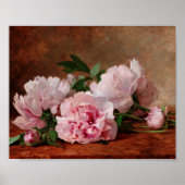 Peonies Poster (Voorkant)