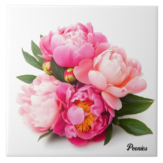 Peonies Tegeltje (Voorkant)