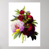 Peonies van Pierre Joseph Redoute Poster (Voorkant)