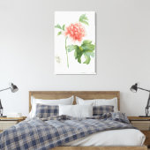 Peony, 1799 (kleurenspoeldruk) canvas afdruk (Insitu (Slaapkamer))