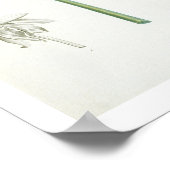 Peony, 1799 (kleurenspoeldruk) poster (Hoek)