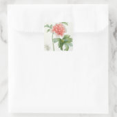 Peony, 1799 (kleurenspoeldruk) vierkante sticker (Tas)