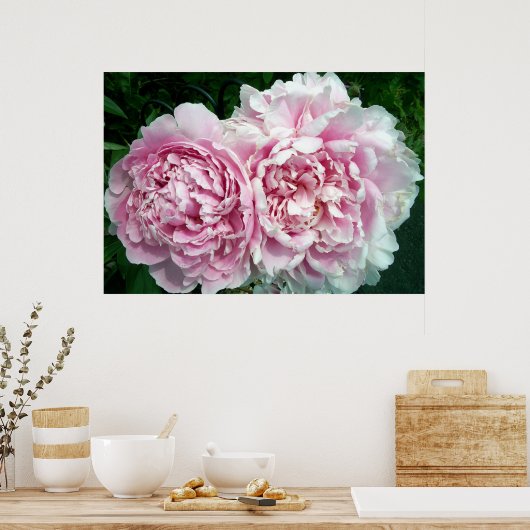 Peony 2 Poster (Keuken)