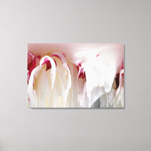 Peony Abstract Canvas Afdruk (Voorkant)