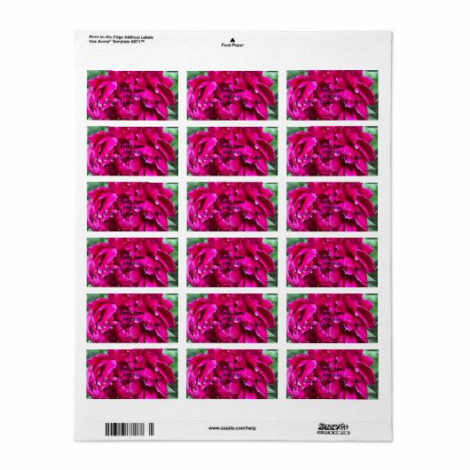 Peony Adresetiketten Etiket (Full Sheet)