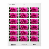 Peony Adresetiketten Etiket (Full Sheet)