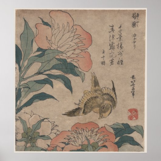 Peony and Canary by Katsushika Hokusai Poster (Voorkant)